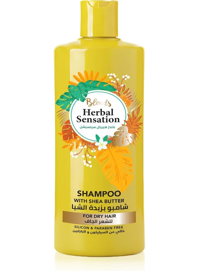 Blends Herbal Sensation Shampoo with Shea Butter for Dry Hair - Deep Moisture & Nourishment - Silicon & Paraben Free - 850 ml - Image 1
